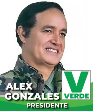 Logo de Partido Verde